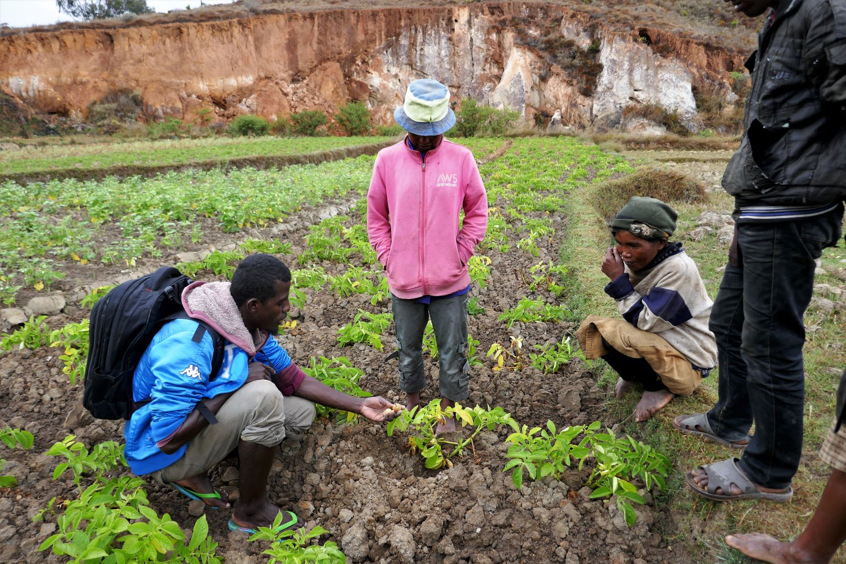 N19-6_Agro�co_Conseiller AgricoleAlatsianainy Bakaroe (1)